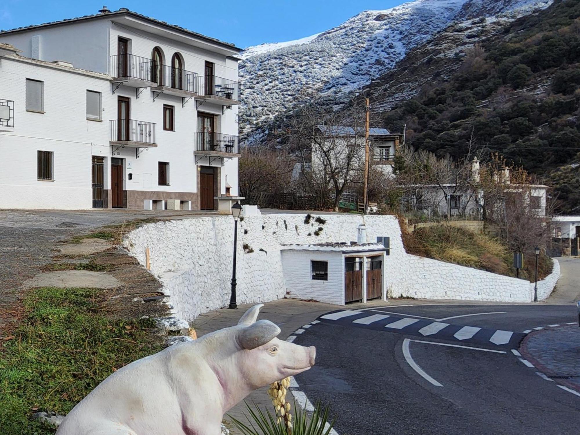 Alojamiento Rural Casa Clara La Pescaora Trevélez Exterior foto